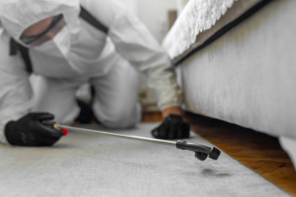 Professional Bed Bug Control technician working in Lewis County County, MO